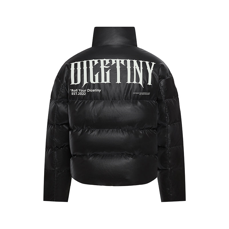 DICETINY matte pu leather down jacket