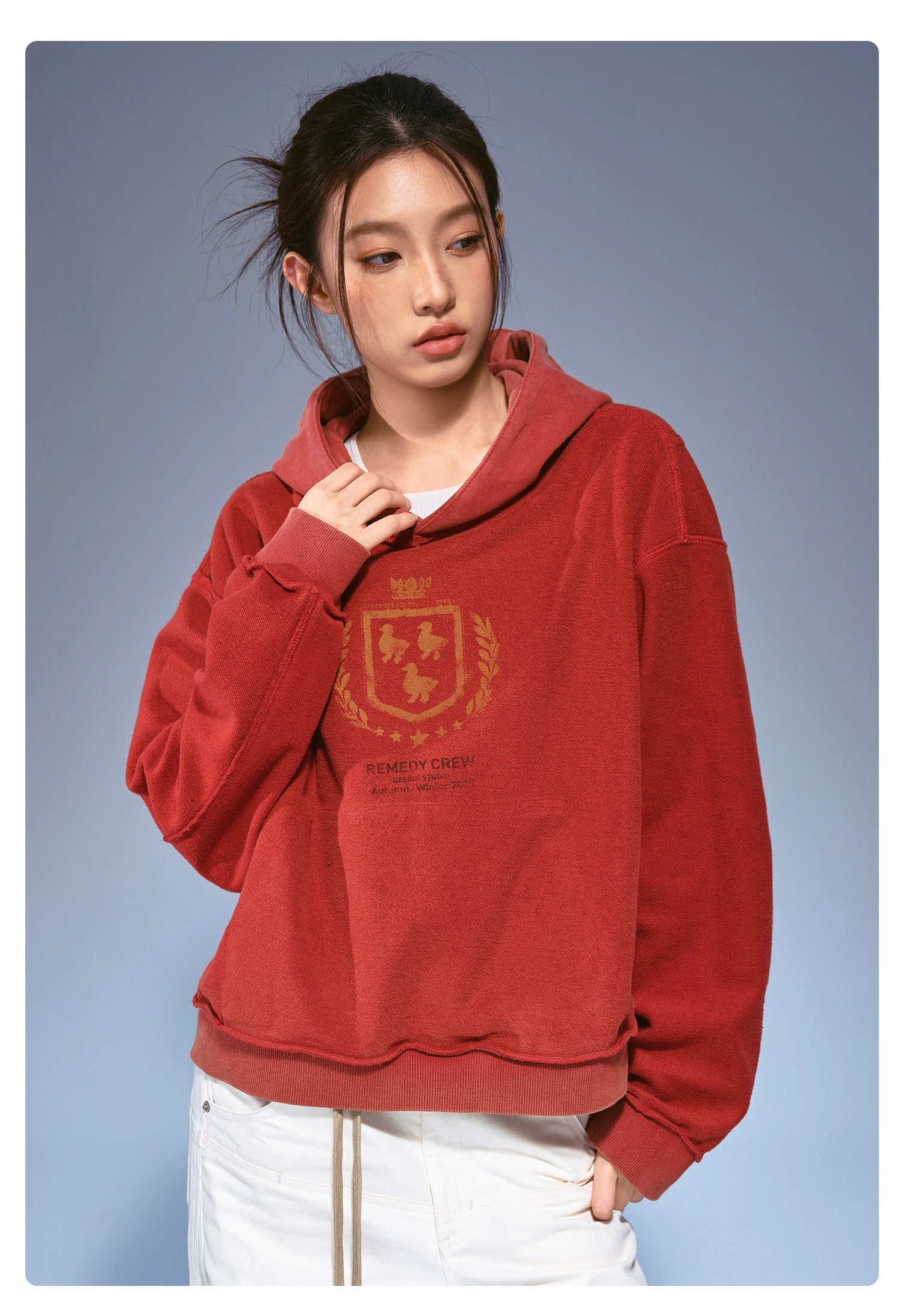 Remedy Vintage Loose Double Sided Hooded Sweater