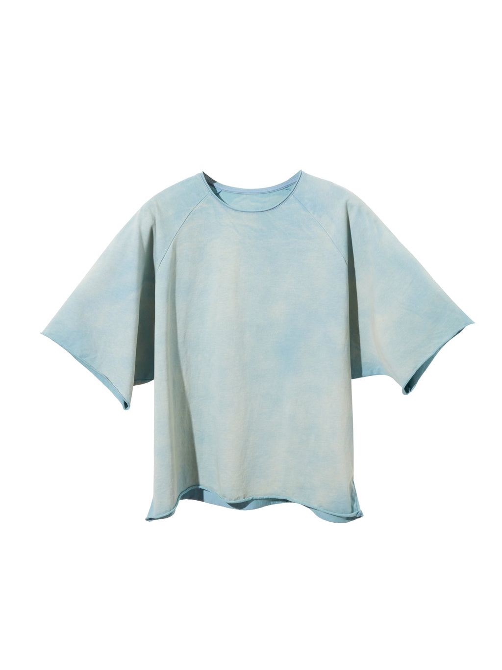 Terrawear Vintage Distressed Loose Tee