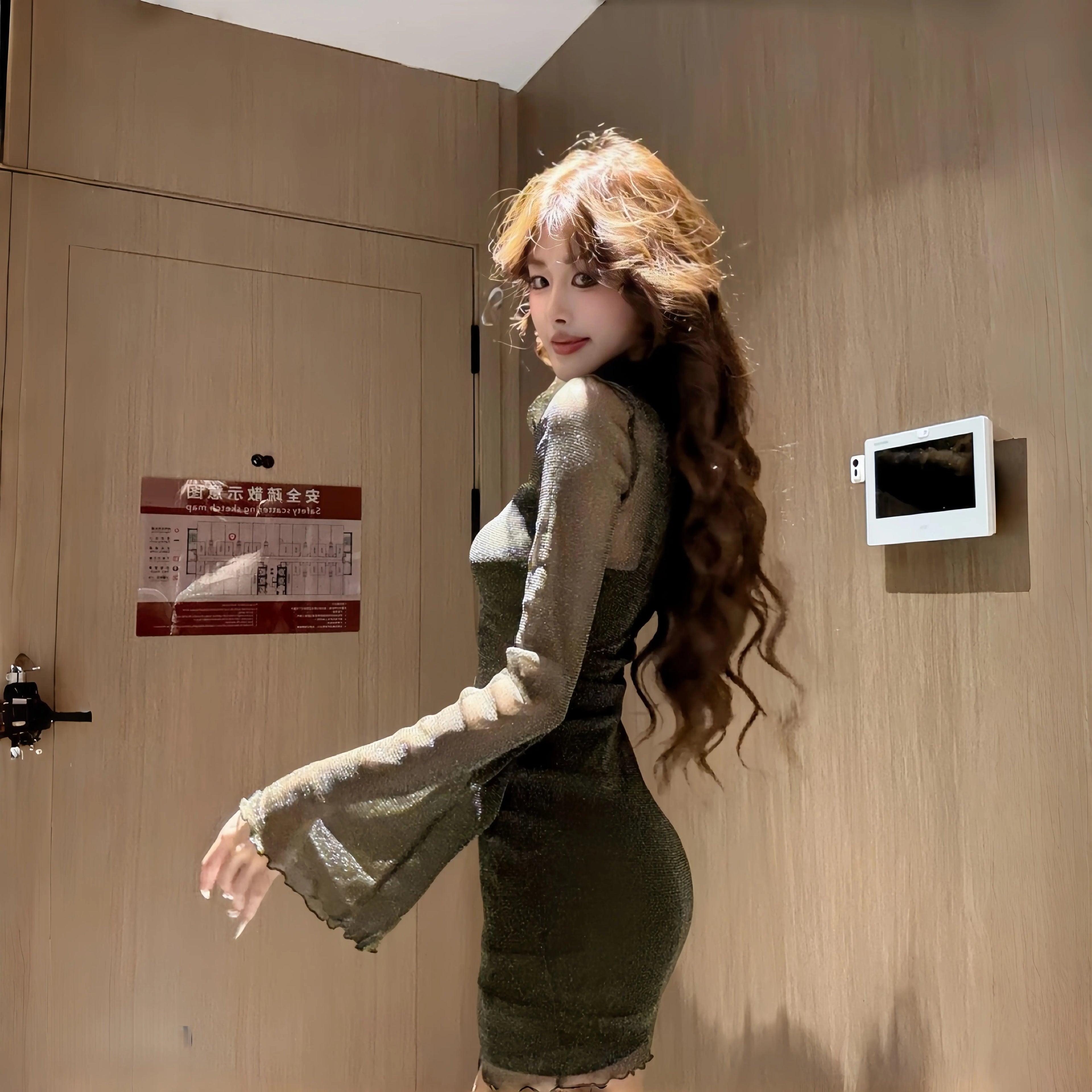 INSTUNNING Premium Mesh Long Sleeve Dress