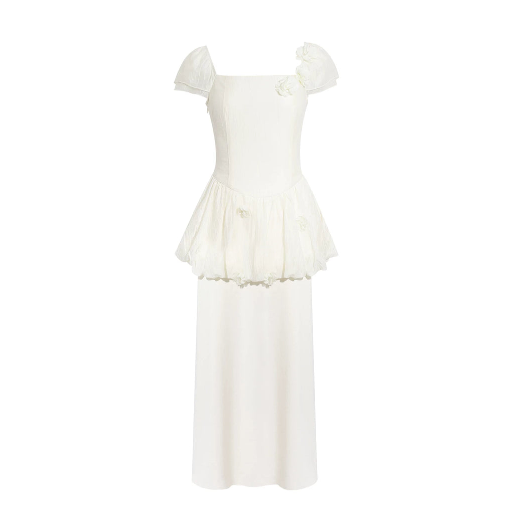 Wildberry Waist-cinching Elegant Long Dress