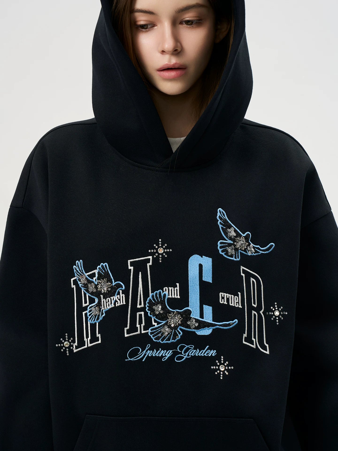 HACR Xiaoxiangfeng Patch Cloth Bead Embroidered Hooded Sweater