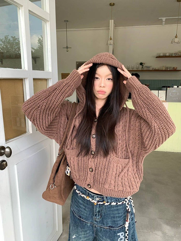 EAHO Vintage Twist Hooded Knitted Cardigan Sweater