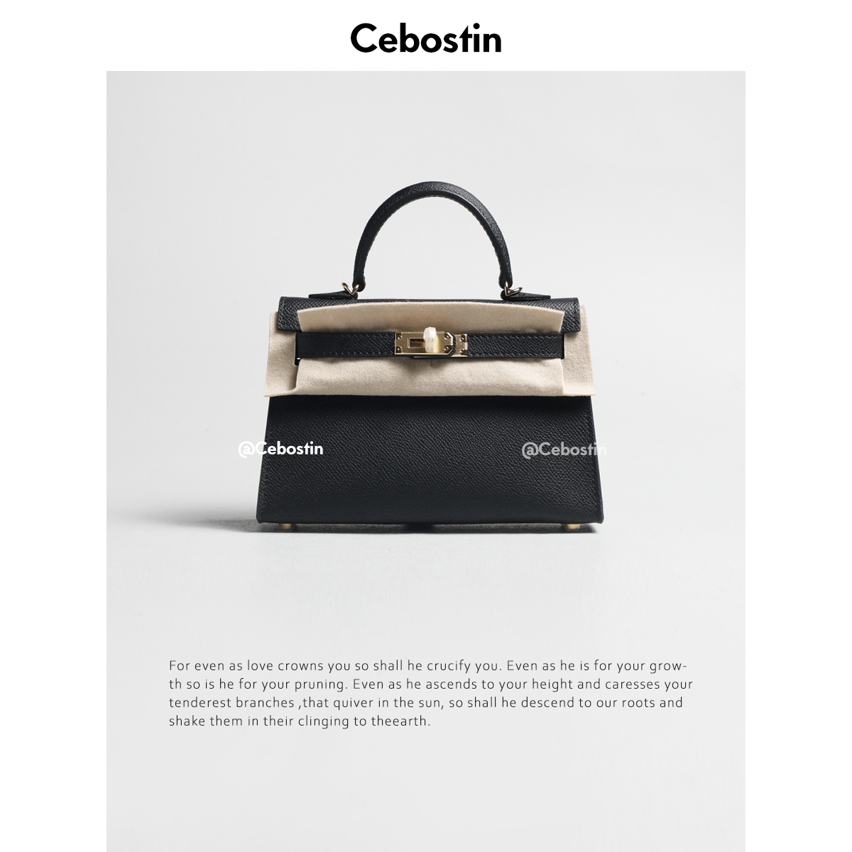 Cebostin Mini Messenger Bag