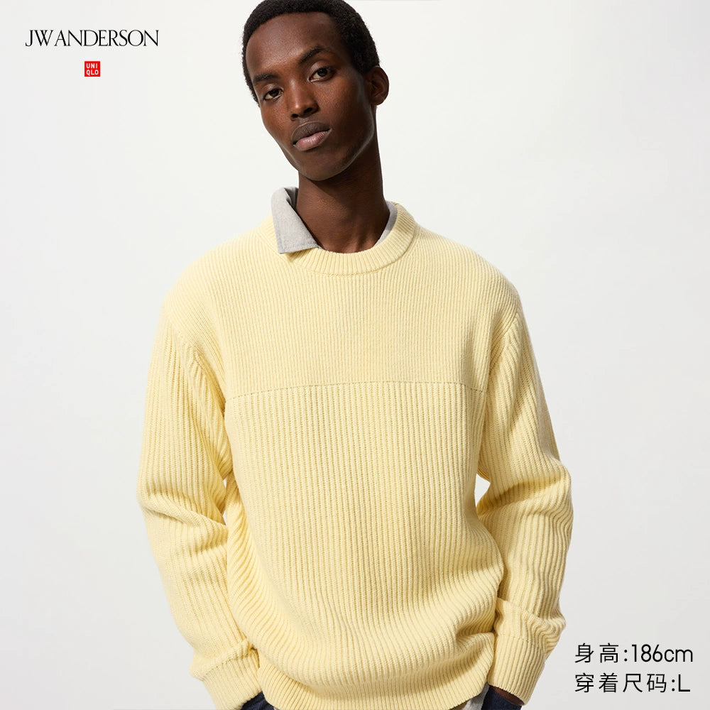 Uniqlo Crew Neck Long Sleeve Knitted Sweater