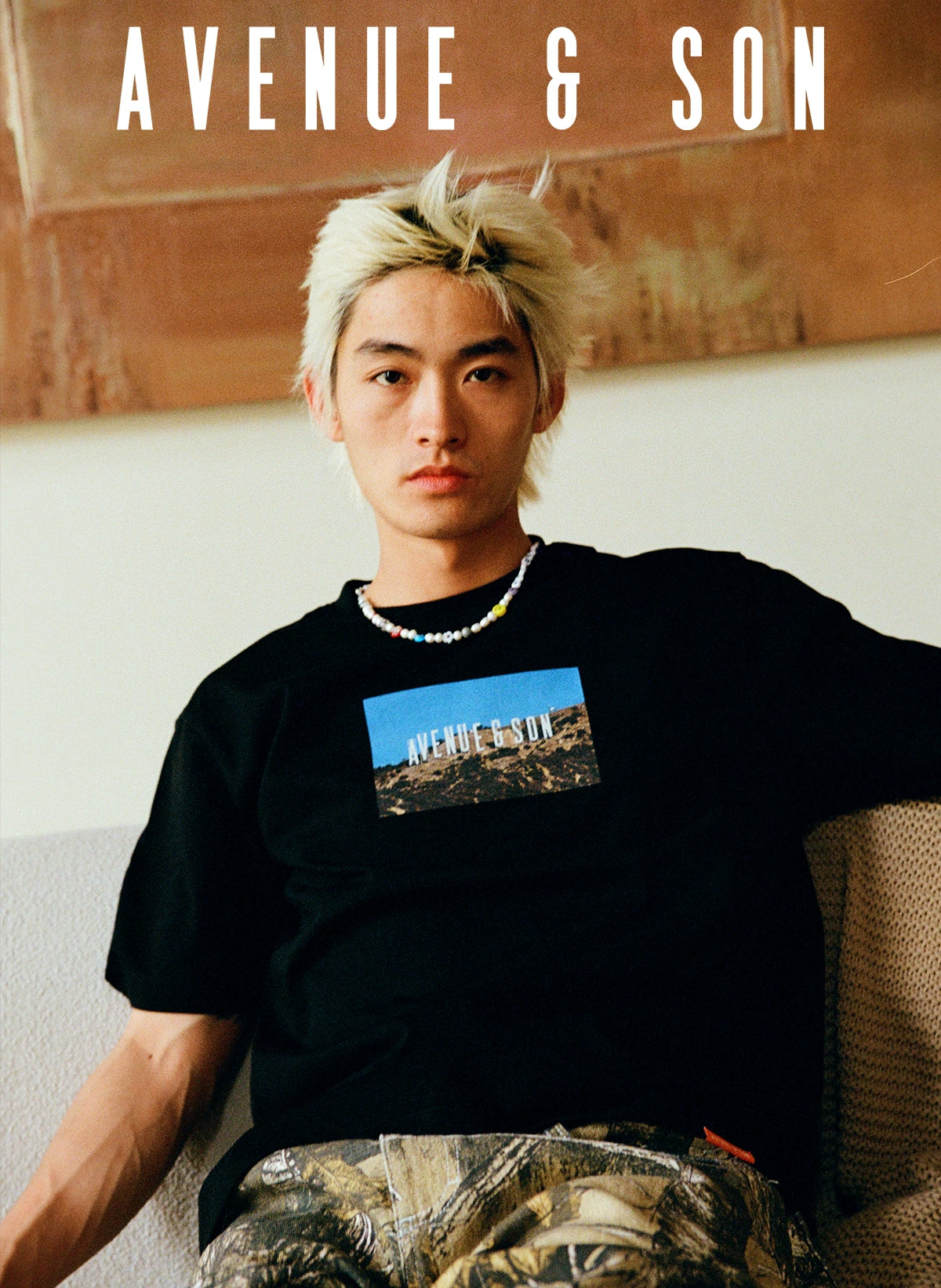 Avenueson Skateboard Hollywood Photo Tee