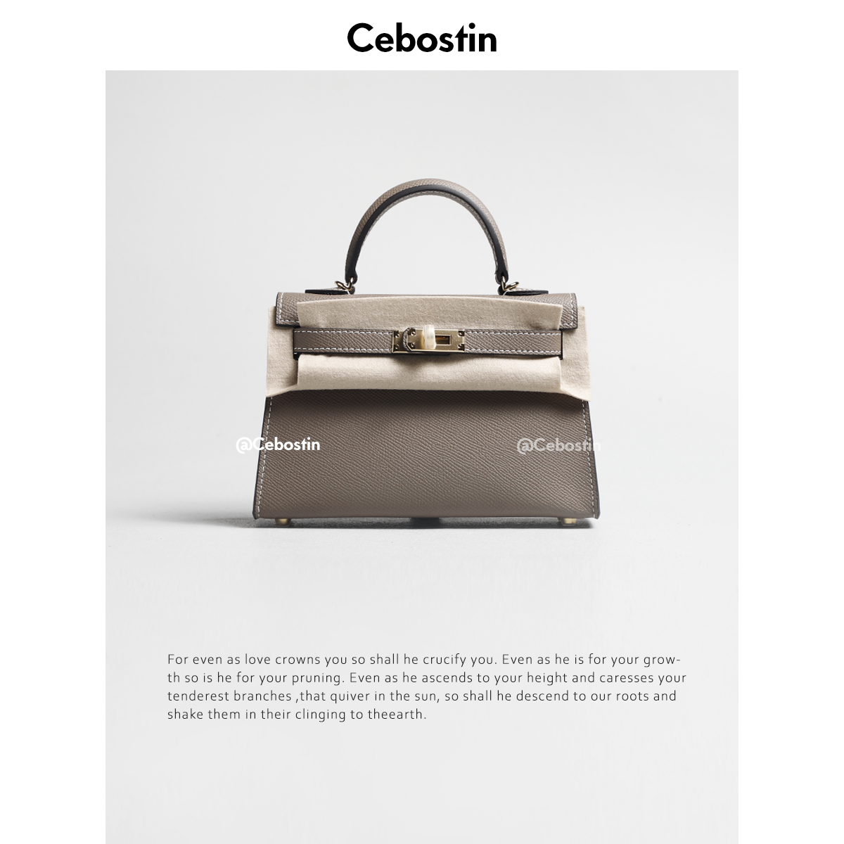 Cebostin Mini Messenger Bag