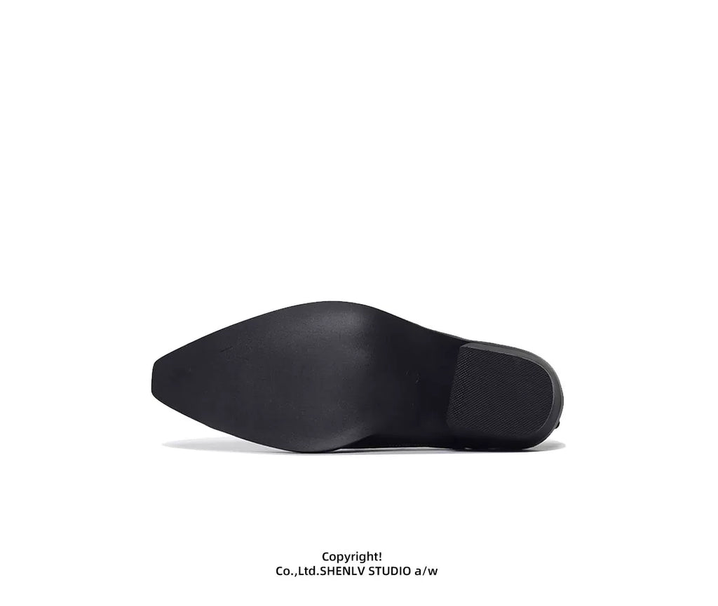 SHENLV STUDIO Pointed-toed High-heeled Leather Shoes