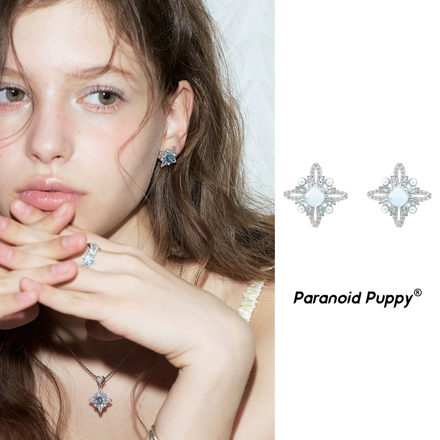 PP Niche Versatile Premium Earrings