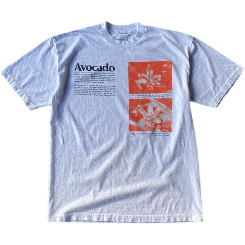 Wang Youbing Studio! AVOCADO 260g 100% Cotton Tee