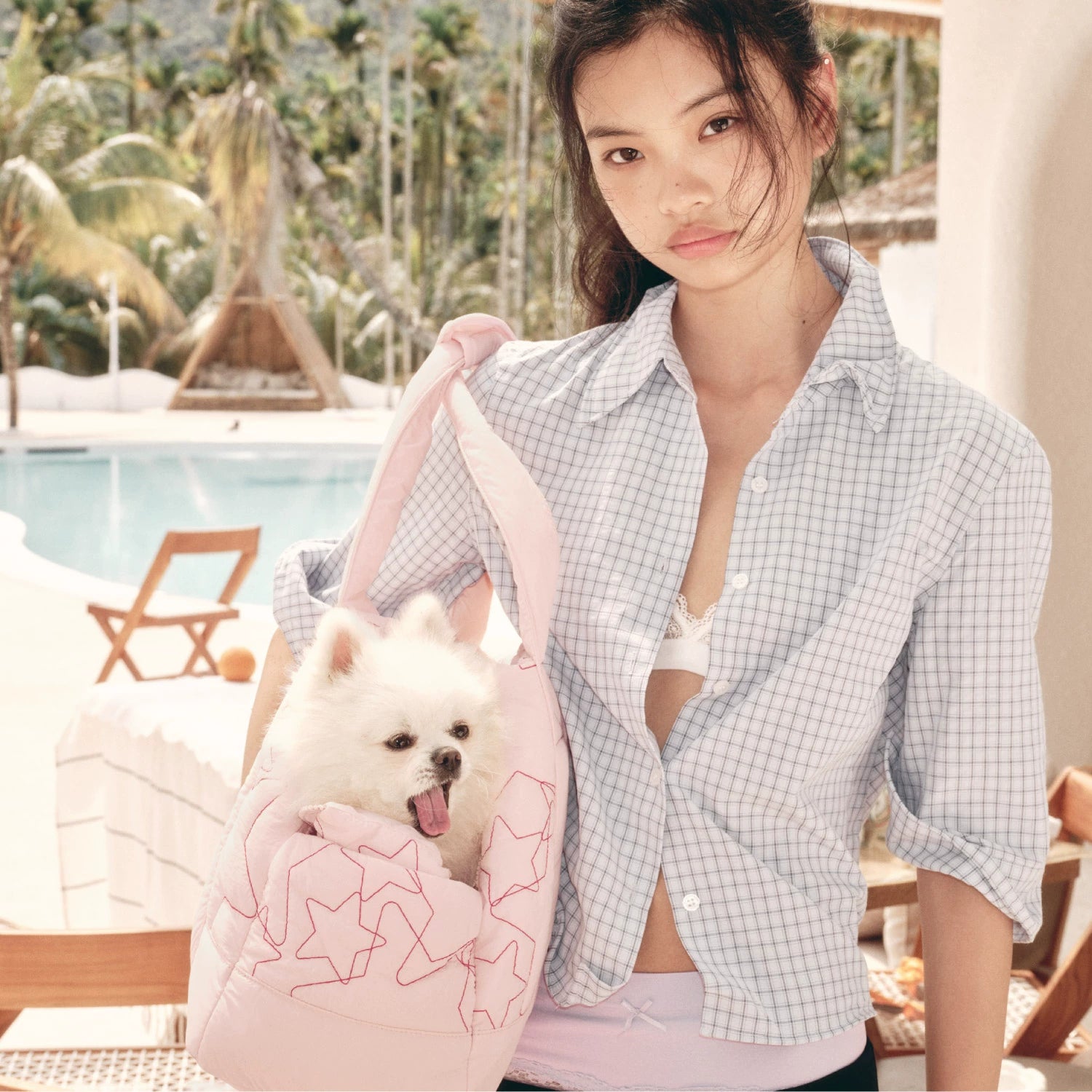 ECODAY Pet Go Out Convenient Handheld Shoulder Bag