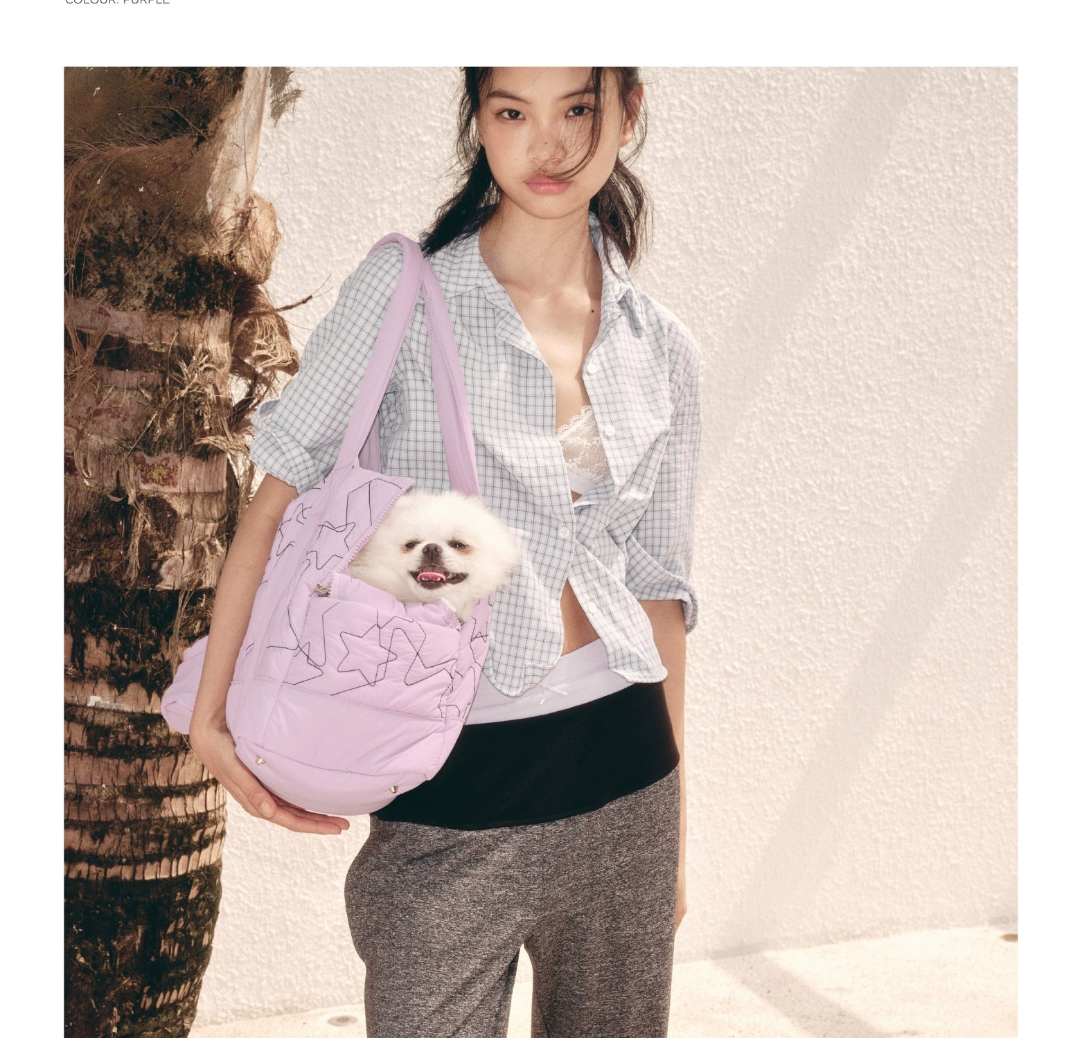 ECODAY Pet Go Out Convenient Handheld Shoulder Bag