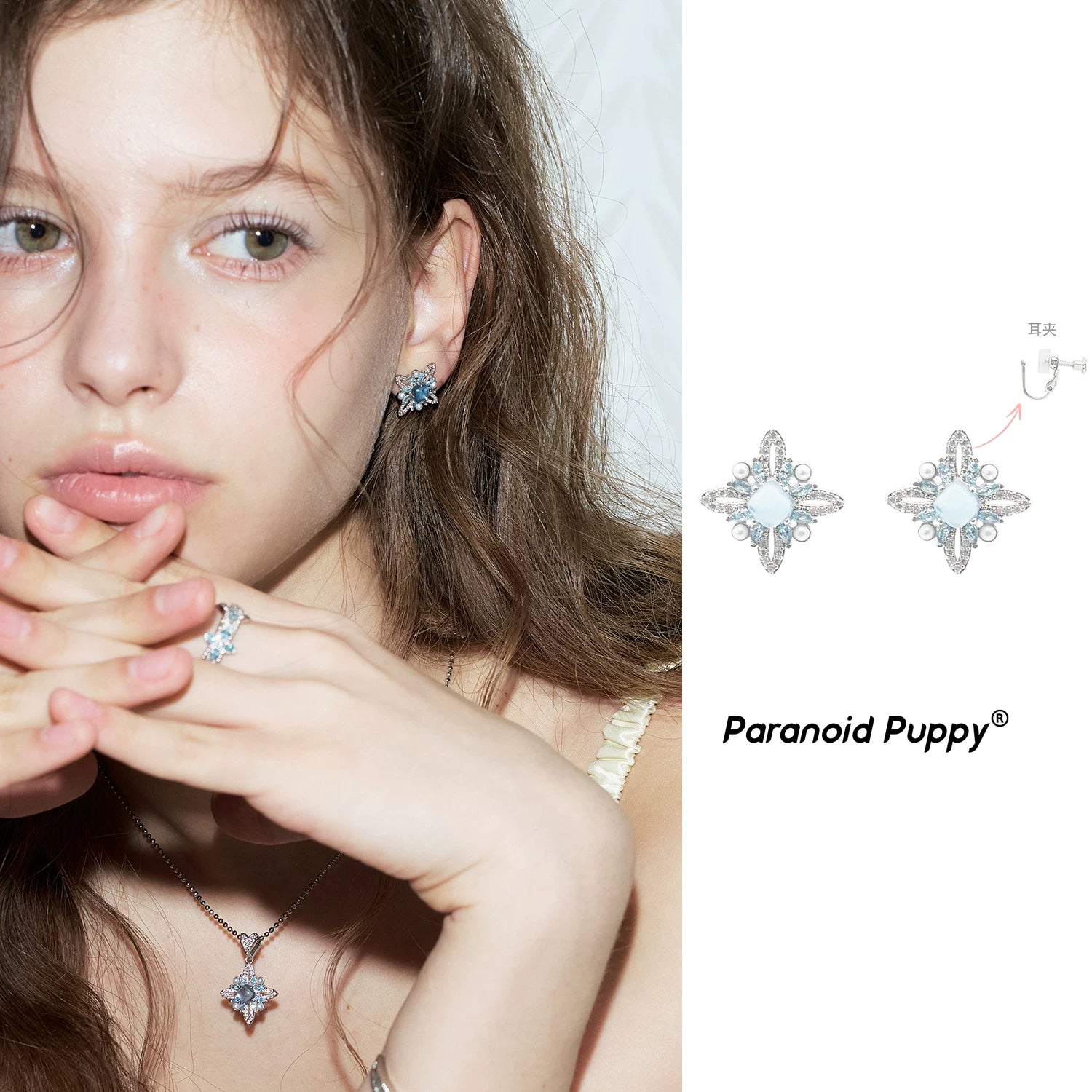 PP Niche Versatile Premium Earrings