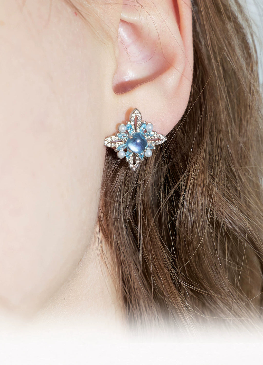PP Niche Versatile Premium Earrings