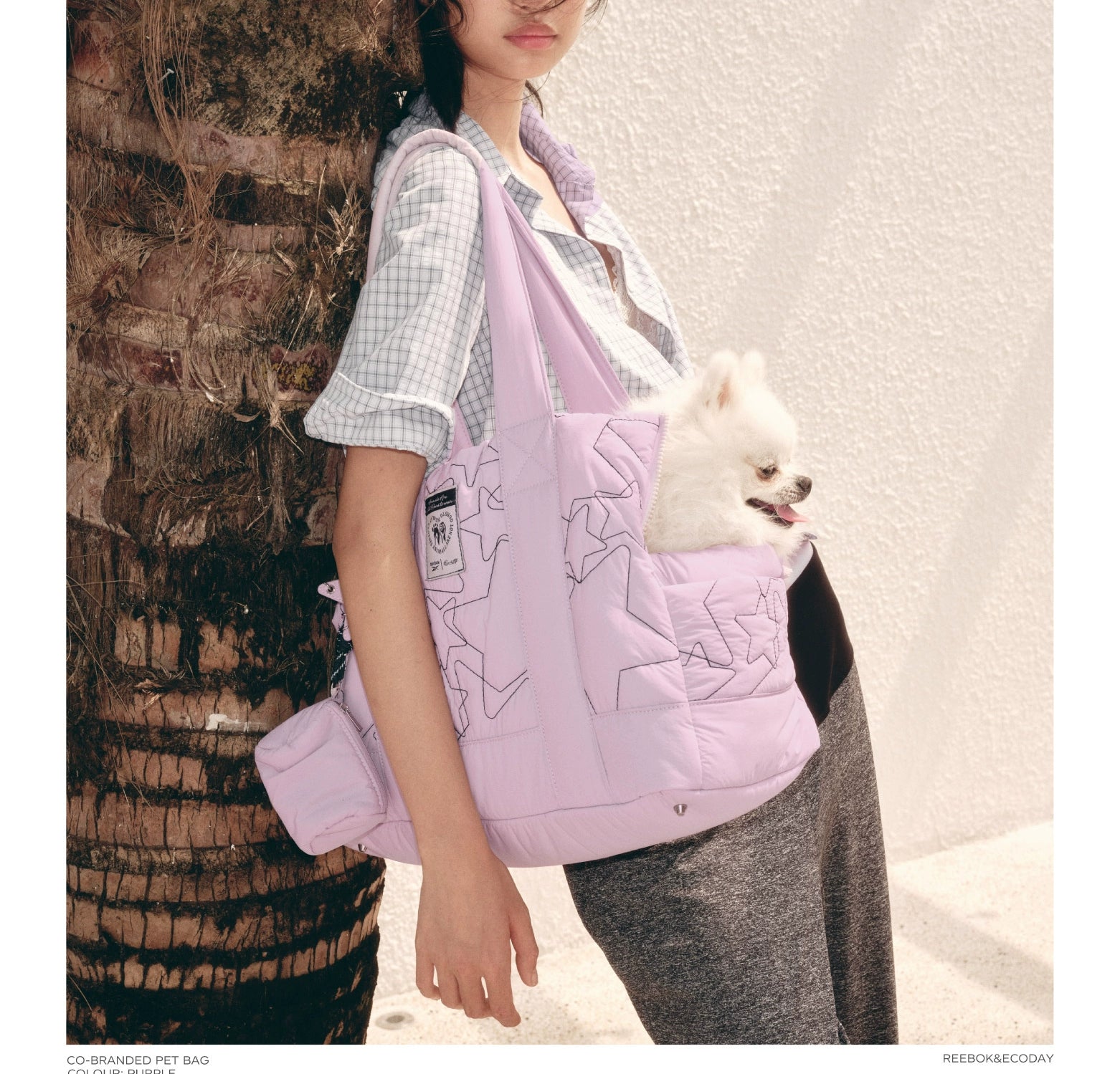 ECODAY Pet Go Out Convenient Handheld Shoulder Bag