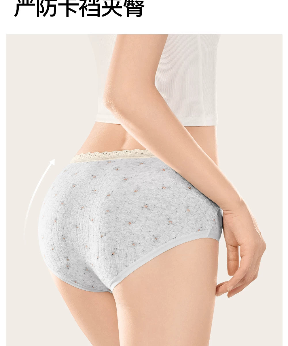 SecretWorld Bacteriostatic Cotton Extended Crotch Triangle Shorts