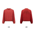 Remedy Vintage Double Sided Loose Crew Neck Sweater