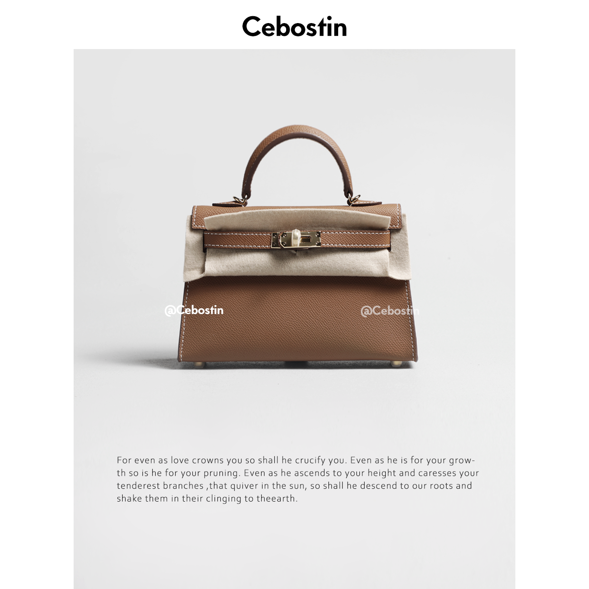 Cebostin Mini Messenger Bag