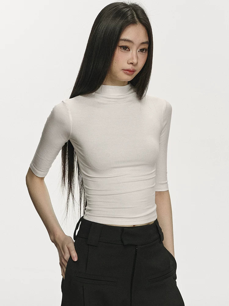 Anna Aneae Small Turtleneck Slim-fit Fleece Bottoming Shirt