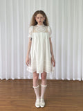Loosesmell Lace Stitched Mesh Slim Dress