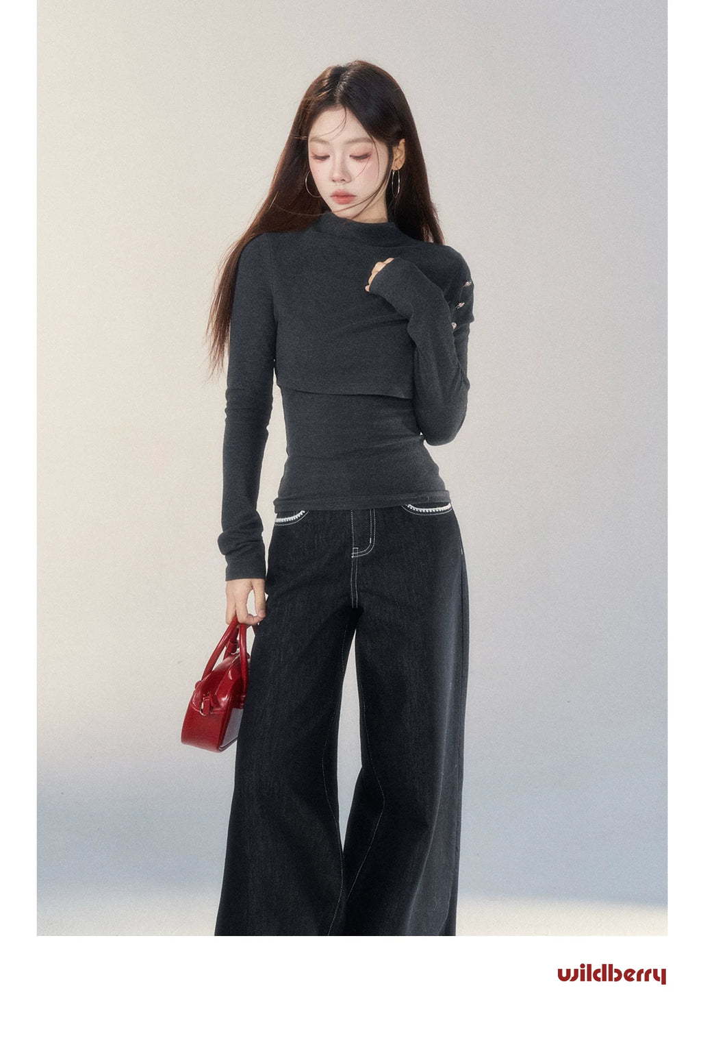 Wildberry Casual Semi-turtleneck Long Sleeve