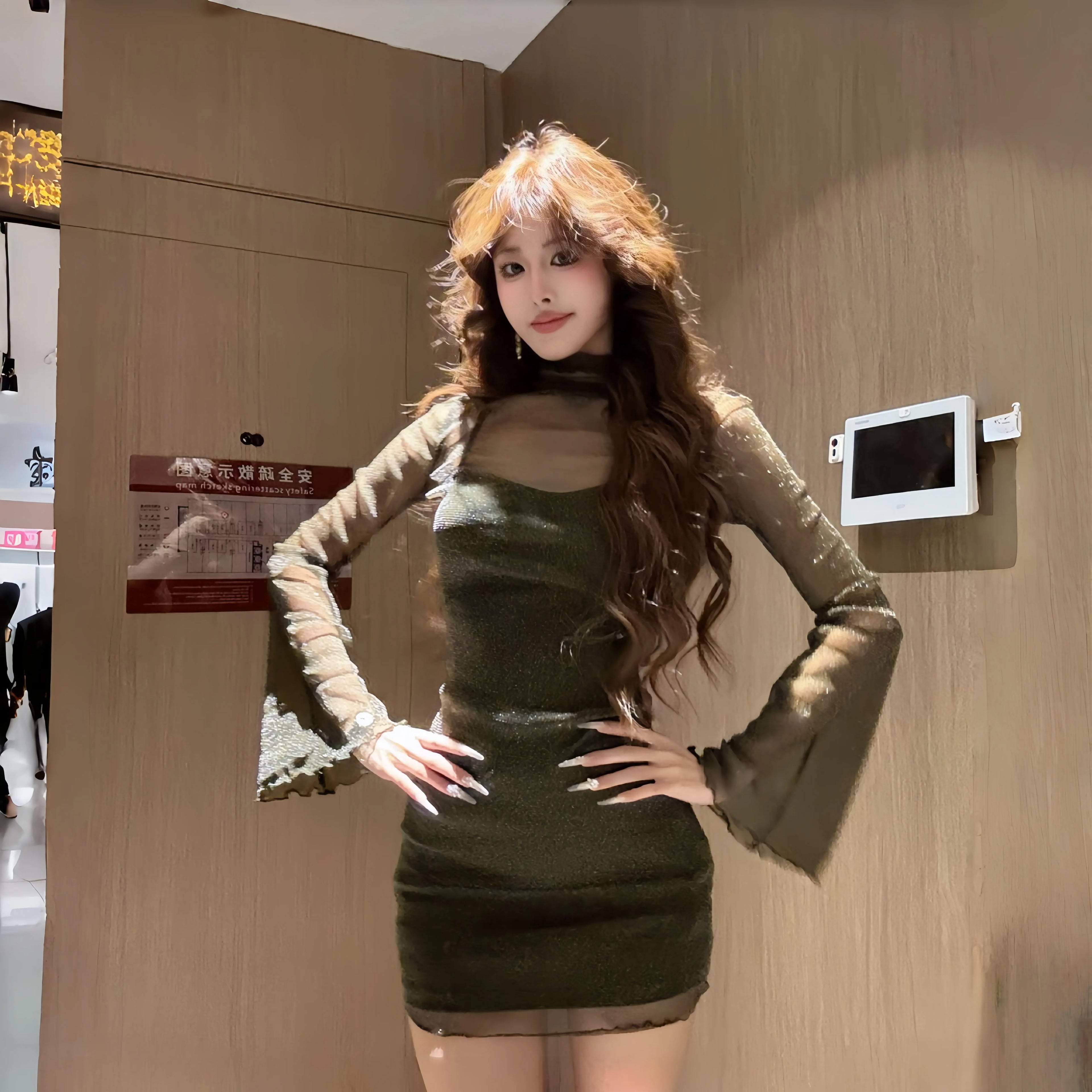 INSTUNNING Premium Mesh Long Sleeve Dress