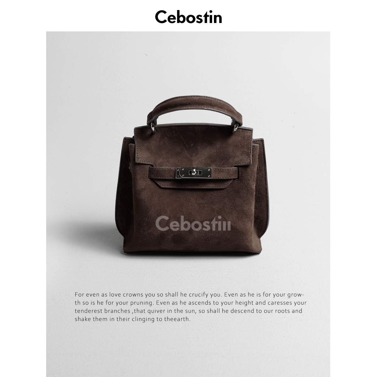 Cebostin Vintage Messenger Versatile Commuter Handbag