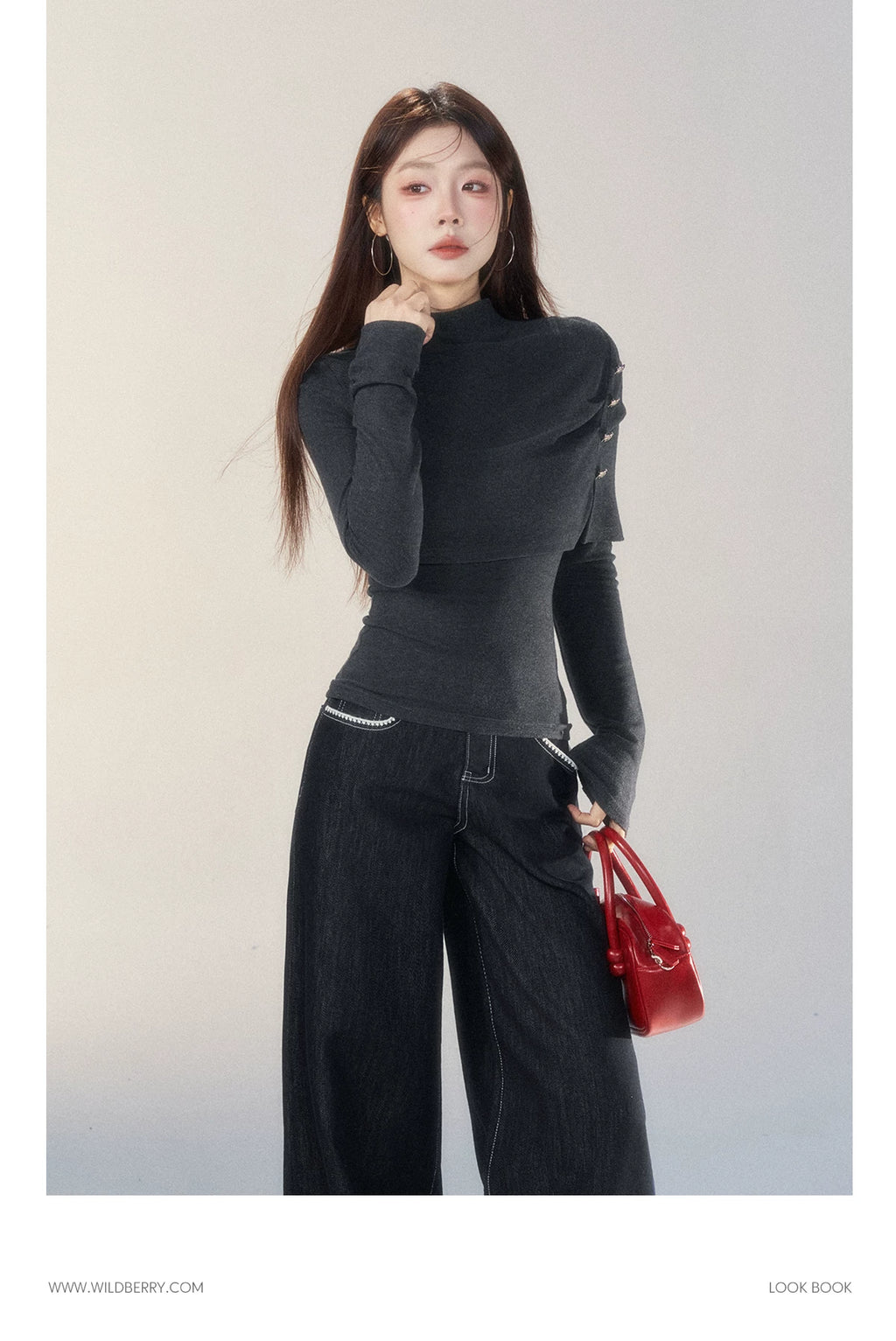 Wildberry Casual Semi-turtleneck Long Sleeve